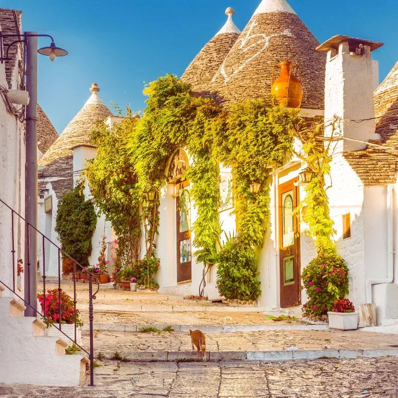 Ruelle fleurie de trulli à Alberobello, dans les Pouilles
